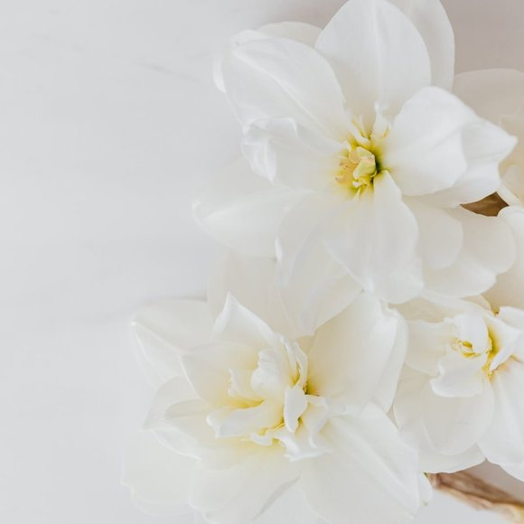 Meet your Posher, White Flower - Picture 3 of 3